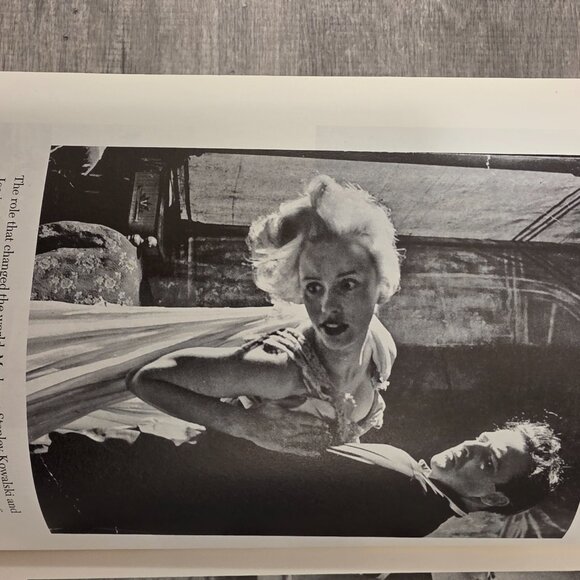 Somebody: The Reckless Life and Remarkable Career of Marlon Brando by Stefan Kan - Picture 14 of 16